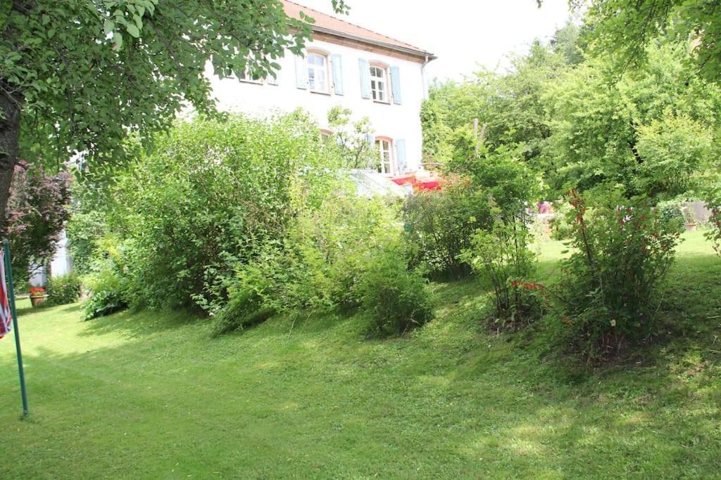Haus Mit Geschichte In Maehring Apartman Kültér fotó